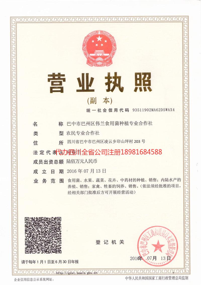 威远威远伟兰食用菌种植专业合作社