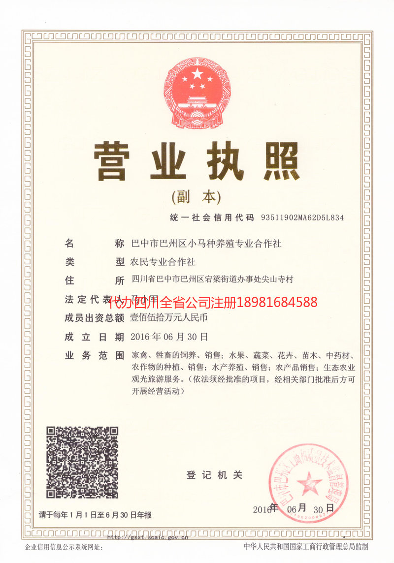 威远威远小马种养殖专业合作社